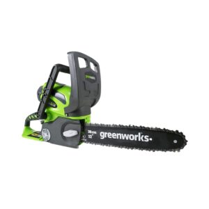 Cordless Compact Chainsaw Image