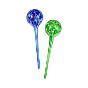 Bison Self-Watering Bulbs Image