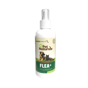 Flea and Tick Spray Image
