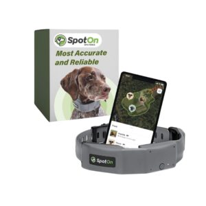 GPS Dog Fence Image