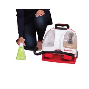 Pet Spot Cleaner Image