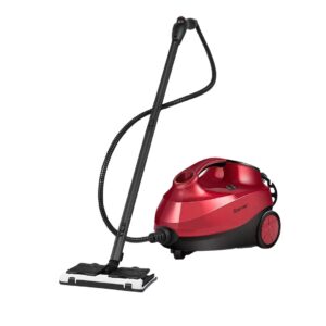 Steam Cleaner Image