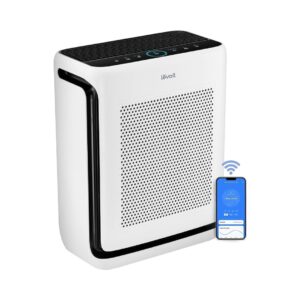Vital 200S Air Purifier Image