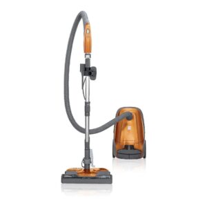 Bagged Canister Vacuum Image