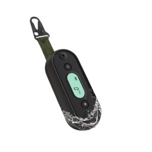 Travel Carbon Monoxide Detector Image