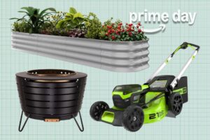 Prime Day Yard Deals
