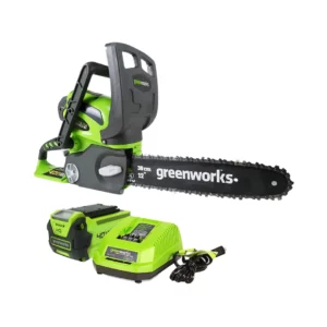 12-inch, 40-Volt Cordless Chainsaw Image