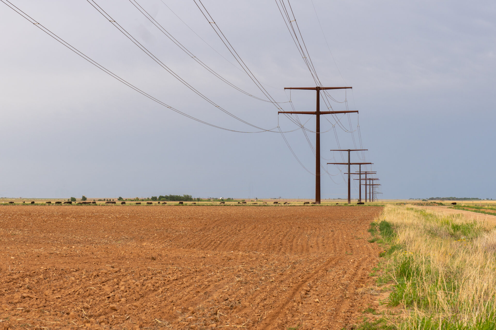 High power line supported by a row of towers through a plowed field, Quitaque, Texas.