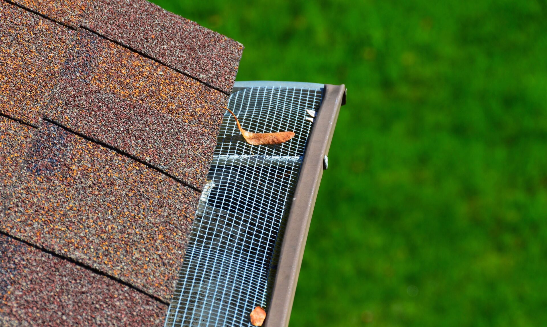 Closeup of a metal filter on a gutter filtering out some fall leaves.