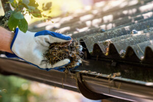 Hand with glove cleaning gutter from leaves and needles