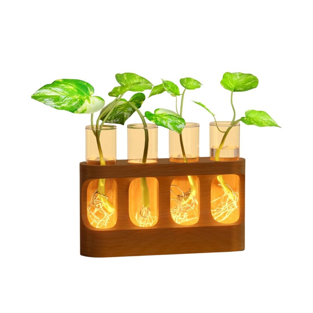Plant Propagation Station