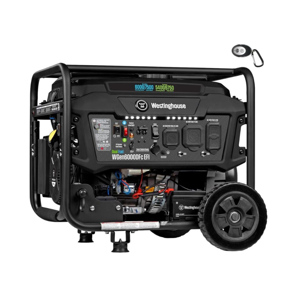 EFI Dual Fuel Portable Generator